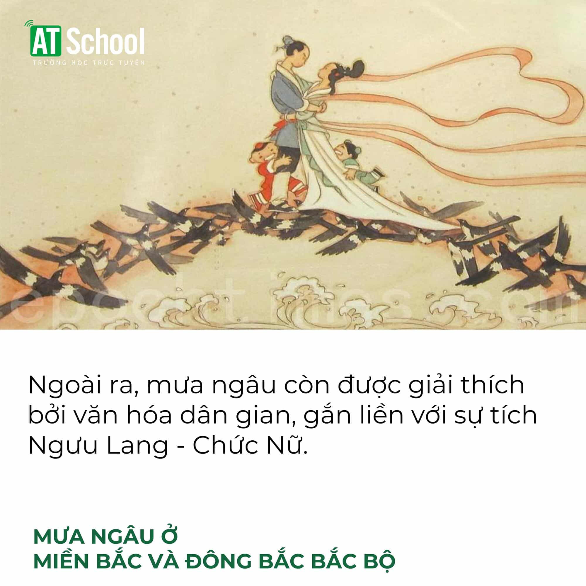 Mưa ngâu ở miền bắc và bắc trung bộ