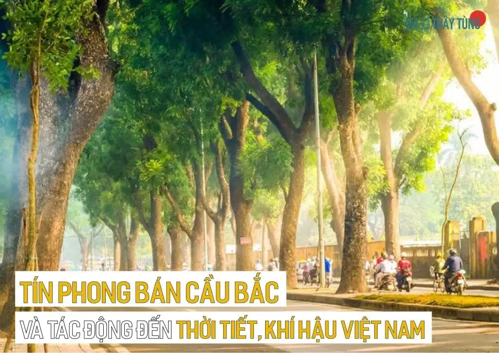 Tín phong Bán cầu Bắc và tác động đến thời tiết, khí hậu Việt Nam