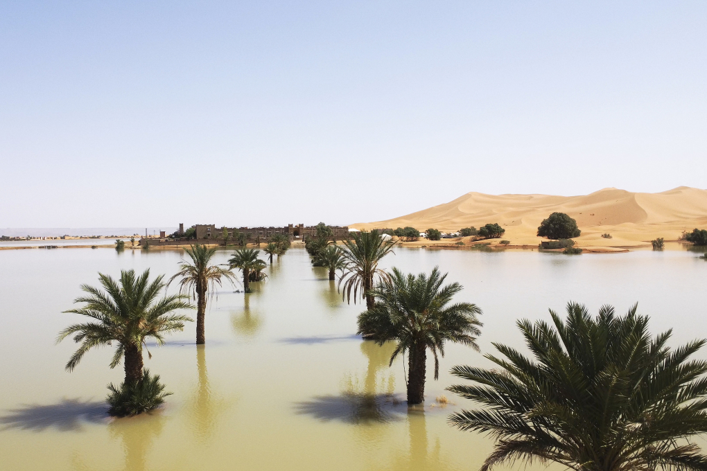 Những cây cọ bị ngập giữa đầm nước tại thị trấn sa mạc Merzouga, đông nam Morocco ngày 2/10. Ảnh: AP